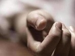 Two minors killed another minor in dispute over mangoes. (HT Archive) Two minors killed another minor in dispute over mangoes. (HT Archive)