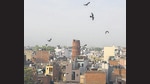 Delhi tales: Hastsal Minar stands amid concrete houses at Uttam Nagar in New Delhi. (Vipin Kumar/HT Archive) Delhi tales: Hastsal Minar stands amid concrete houses at Uttam Nagar in New Delhi. (Vipin Kumar/HT Archive)
