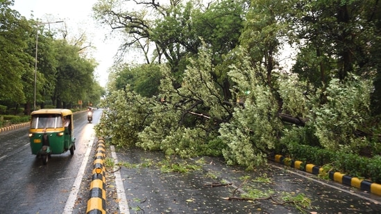 Dusty winds, rains hit Delhi-NCR, trees uprooted at 80 locations ...