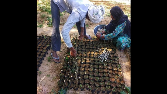 Vimlendu Jha’s NGO Swechha will inaugurate a native nursery at its Farm School, this World Environment Day. Vimlendu Jha’s NGO Swechha will inaugurate a native nursery at its Farm School, this World Environment Day.