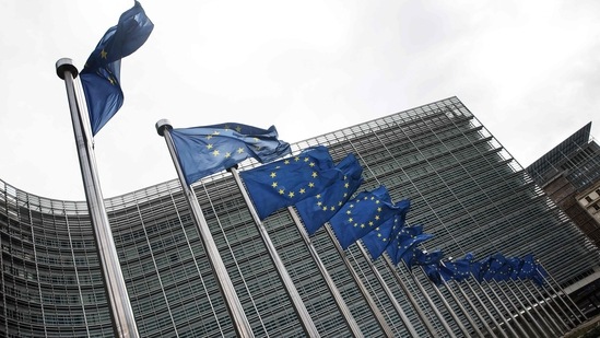The EU contends that a waiver would not boost production and presented a three-part plan. (AFP) The EU contends that a waiver would not boost production and presented a three-part plan. (AFP)