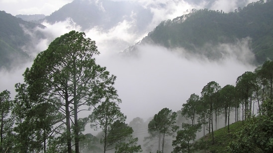 Hotels in tourist hubs like Nainital and Mussoorie have suffered bulk cancellation of bookings in recent months due to the second wave of the pandemic which had shown signs of abating in February-March. (Photo via Creative Commons) Hotels in tourist hubs like Nainital and Mussoorie have suffered bulk cancellation of bookings in recent months due to the second wave of the pandemic which had shown signs of abating in February-March. (Photo via Creative Commons)