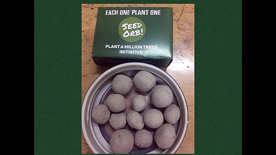 These seed orbs are distributed by Aditya Dubey, and have higher chances of growing into trees when planted correctly. These seed orbs are distributed by Aditya Dubey, and have higher chances of growing into trees when planted correctly.