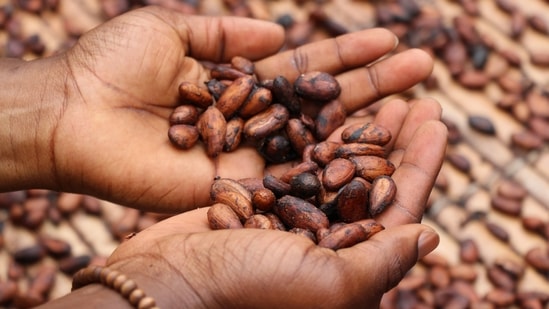Raw cacao smoothie: This ingredient promotes healthy digestion, can reduce the risk and symptoms of irritable bowel syndrome and other digestive problems. It also lowers blood pressure and reduces diabetes risk.(Unsplash)