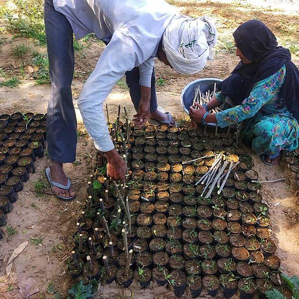 Vimlendu Jha’s NGO Swechha will inaugurate a native nursery at its Farm School, this World Environment Day. Vimlendu Jha’s NGO Swechha will inaugurate a native nursery at its Farm School, this World Environment Day.