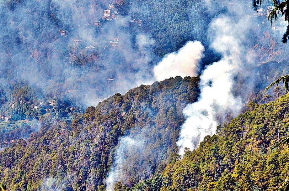 The rules — which replace the forest conservation rules of 2003 — will be placed before both Houses of Parliament during the monsoon session, scheduled to commence on Monday. (ANI) The rules — which replace the forest conservation rules of 2003 — will be placed before both Houses of Parliament during the monsoon session, scheduled to commence on Monday. (ANI)