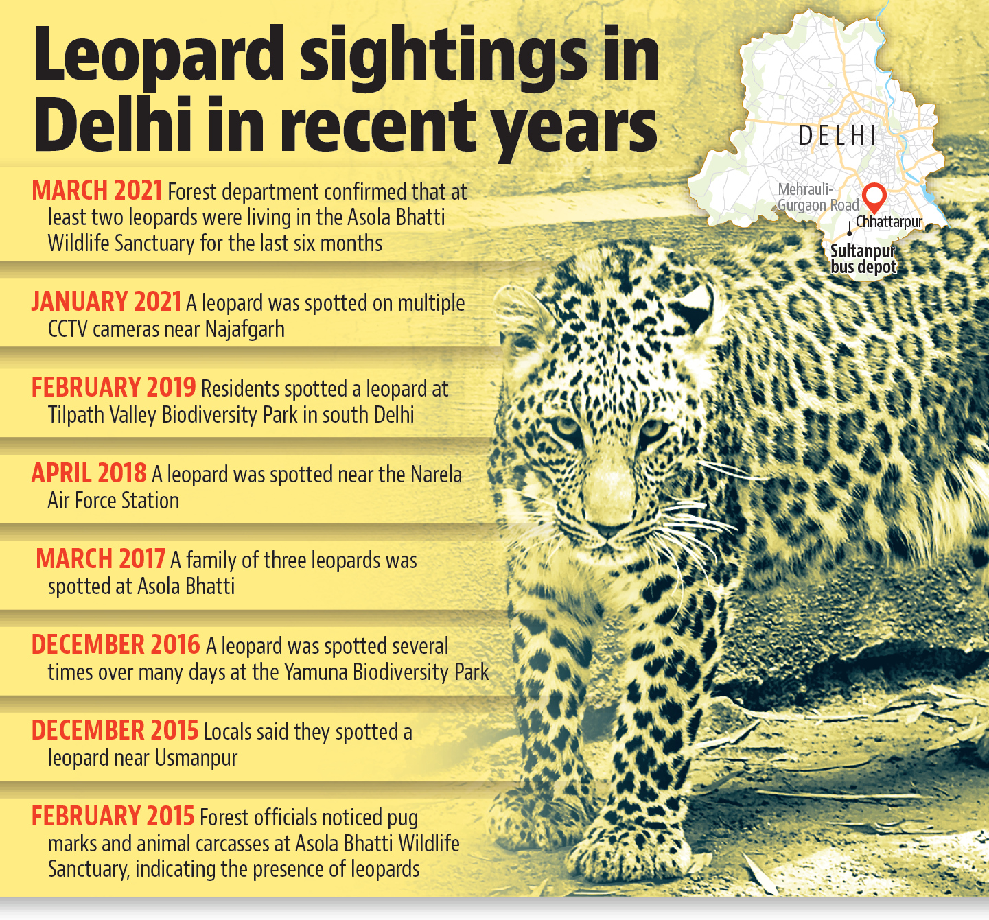 The reduced movement of people and vehicles due to the Covid-19 curbs could be one of the reason behind the increased instances of leopard sightings in Delhi. (HT Illustrator) The reduced movement of people and vehicles due to the Covid-19 curbs could be one of the reason behind the increased instances of leopard sightings in Delhi. (HT Illustrator)
