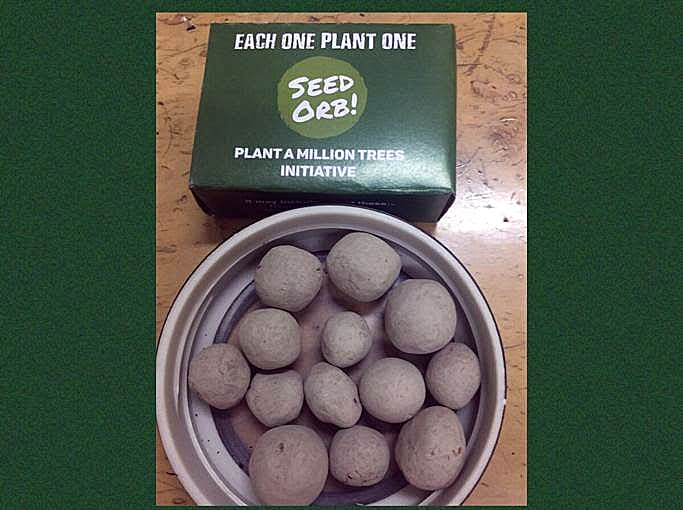These seed orbs are distributed by Aditya Dubey, and have higher chances of growing into trees when planted correctly. These seed orbs are distributed by Aditya Dubey, and have higher chances of growing into trees when planted correctly.
