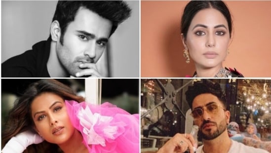 Many celebs including Hina Khan, Nia Sharma, and Aly Goni have supported Pearl V Puri.