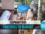 Elephant pays last respects to mahout in a heartbreaking video