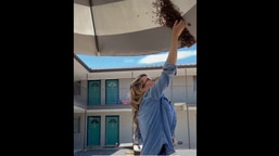 The image shows the beekeeper removing the hive.