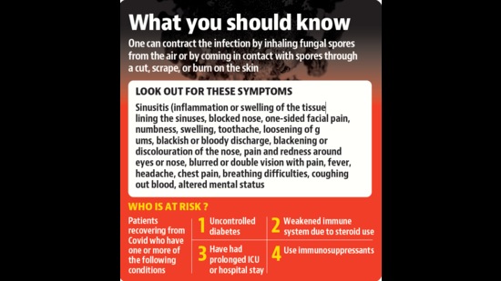Black fungus also maiming asymptomatic Covid patients: Study Black fungus also maiming asymptomatic Covid patients: Study