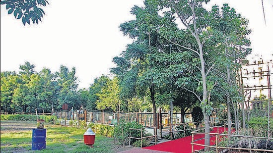 Gardens, like this one in Katraj, will re-open on Monday, though groups will not be allowed inside. (RAVINDRA JOSHI/HT) Gardens, like this one in Katraj, will re-open on Monday, though groups will not be allowed inside. (RAVINDRA JOSHI/HT)