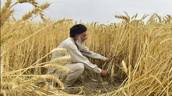 (Image for representational purpose) (Image for representational purpose)