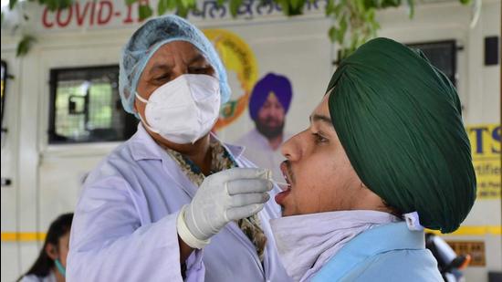 A health worker collecting samples near Sarabha Nagar Market in Ludhiana on Monday. (Gurpreet Singh/Hindustan Times)