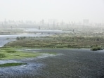 An aerial view of Okhla bird sanctuary, in Noida, India, on Thursday, April 01, 2021. (Photo by Sunil Ghosh / Hindustan Times) 