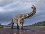 Artistic representation of Australotitan cooperensis by Vlad Konstantinov.(Queensland Museum)