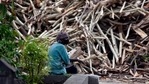 A worker sitting next to a stack of wood for funeral pyres at Sarai Kale Khan crematorium, in New Delhi, India, on Tuesday, May 18, 2021. (Photo by Sanjeev Verma/ Hindustan Times) A worker sitting next to a stack of wood for funeral pyres at Sarai Kale Khan crematorium, in New Delhi, India, on Tuesday, May 18, 2021. (Photo by Sanjeev Verma/ Hindustan Times)