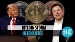 Donald Trump said that Bitcoin is competing against the US dollar (Reuters) Donald Trump said that Bitcoin is competing against the US dollar (Reuters)