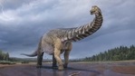 Artistic representation of Australotitan cooperensis by Vlad Konstantinov.(Queensland Museum) Artistic representation of Australotitan cooperensis by Vlad Konstantinov.(Queensland Museum)