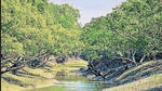 Cyclone Yaas coincided with the perigean spring tide and the resulting storm surge devastated the 3 coastal districts in Bengal and the Sunderban delta. Cyclone Yaas coincided with the perigean spring tide and the resulting storm surge devastated the 3 coastal districts in Bengal and the Sunderban delta.
