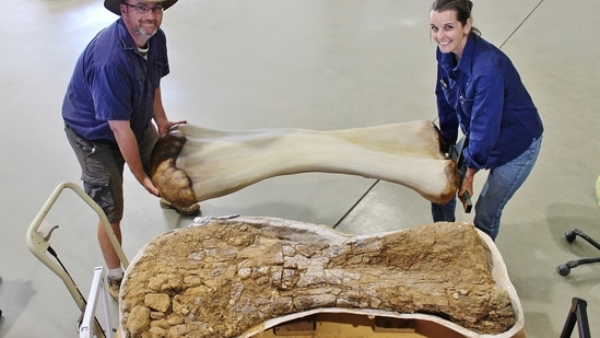 Dr. Scott Hocknull and Robyn Mackenzie pose with a 3D reconstruction and the humerus bone of "Cooper," a new species of dinosaur discovered in Queensland and recognised as the largest ever found in Australia, in this undated handout image made available to Reuters on June 8, 2021 in Eromanga, Australia. (via REUTERS)