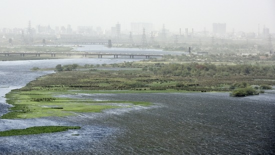 An aerial view of Okhla bird sanctuary, in Noida, India, on Thursday, April 01, 2021. (Photo by Sunil Ghosh / Hindustan Times) 