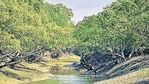 Cyclone Yaas coincided with the perigean spring tide and the resulting storm surge devastated the 3 coastal districts in Bengal and the Sunderban delta. Cyclone Yaas coincided with the perigean spring tide and the resulting storm surge devastated the 3 coastal districts in Bengal and the Sunderban delta.