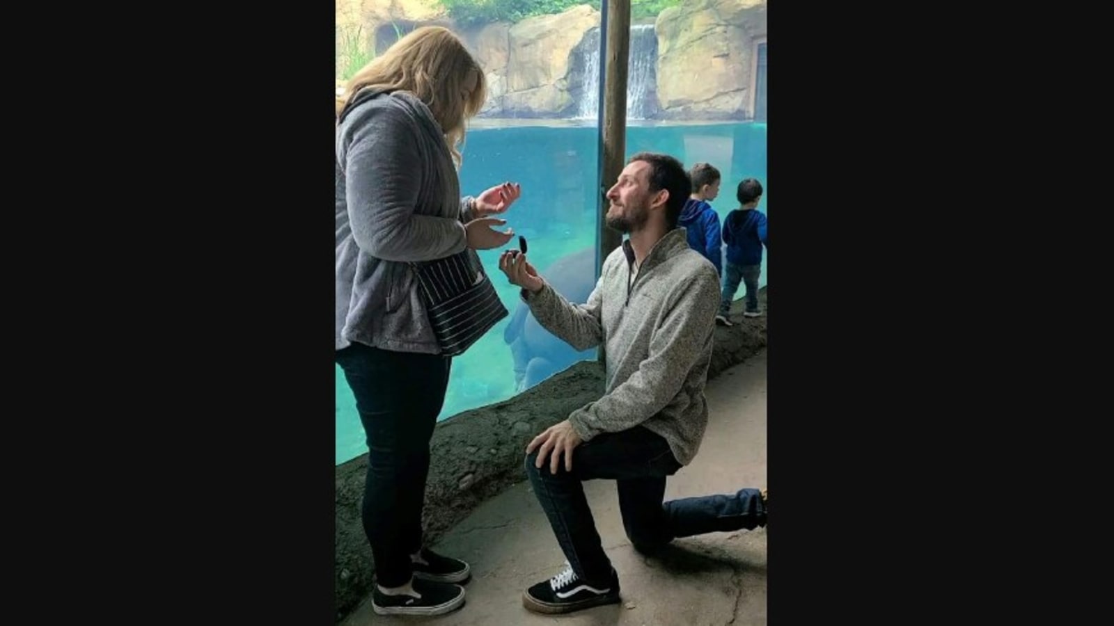 Man Proposes To Partner As Hippo Named Fiona Watches Pics Go Viral The Wall Fyi
