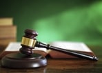 Besides asking the state to conduct an audit of COVID-19 deaths during the second wave, the court also asked it to conduct an audit of ventilators and ICU equipment available in government hospitals.