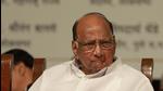 Sharad Pawar. (HT archive) Sharad Pawar. (HT archive)