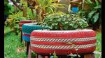 Organic plants grown in recycled tires (Photo: Shutterstock) Organic plants grown in recycled tires (Photo: Shutterstock)
