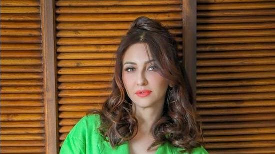 Actor Saumya Tandon shot for advertisements and hosted shows from her home in this pandemic. Actor Saumya Tandon shot for advertisements and hosted shows from her home in this pandemic.