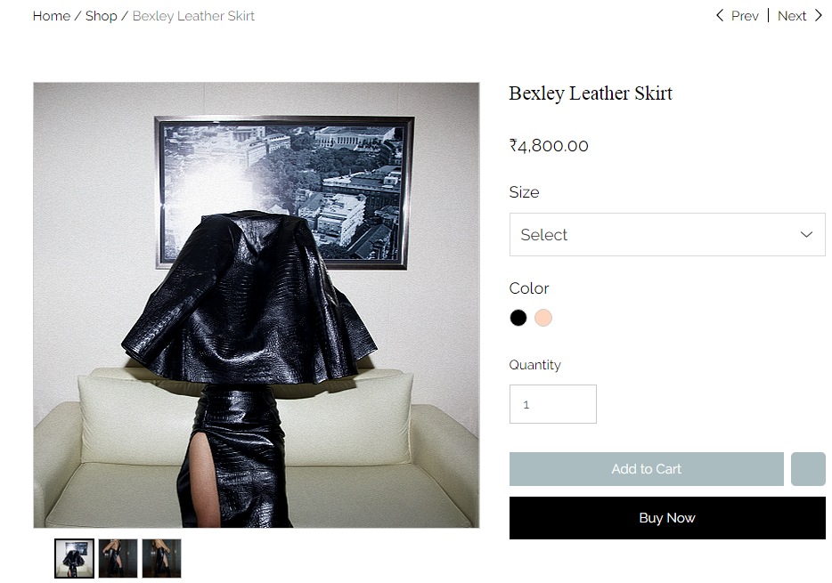 Sussanne Khan's vegan-leather skirt from Jenn(thelabeljenn.com)