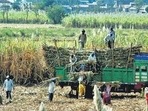 A subsidy of  <span class='webrupee'>₹</span>20 crore will be provided in the Cyclone affected districts for procurement of technical agriculture equipment along with the rebates, said the statement.