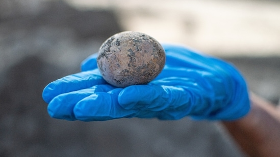 The image shows the 1,000 years old unbroken chicken egg discovered by Israeli archaeologists.(Facebook/@AntiquitiesEN)