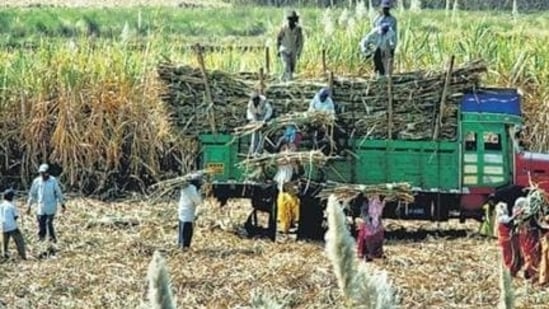 A subsidy of <span class='webrupee'>₹</span>20 crore will be provided in the Cyclone affected districts for procurement of technical agriculture equipment along with the rebates, said the statement.(HT file photo) A subsidy of <span class='webrupee'>₹</span>20 crore will be provided in the Cyclone affected districts for procurement of technical agriculture equipment along with the rebates, said the statement.(HT file photo)
