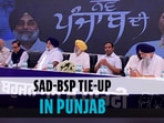 Akali Dal, Mayawati's BSP form alliance ahead of Punjab Assembly elections