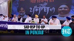 Akali Dal, Mayawati's BSP form alliance ahead of Punjab Assembly elections Akali Dal, Mayawati's BSP form alliance ahead of Punjab Assembly elections