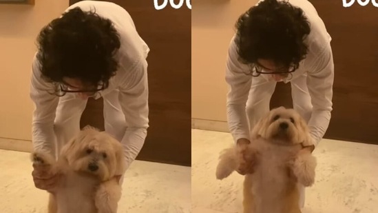 Sara Ali Khan shared a video of Ibrahim Ali Khan with a song from Kartik Aaryan's movie. Sara Ali Khan shared a video of Ibrahim Ali Khan with a song from Kartik Aaryan's movie.