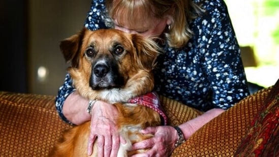 Linda Oswald hugs 2-year-old dog Tilly at their home in Hayden, Idaho.(AP) Linda Oswald hugs 2-year-old dog Tilly at their home in Hayden, Idaho.(AP)