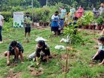 Children create a micro oxygen chamber by planting 750 tree saplings in Ludhiana on Sunday. (ANI ) Children create a micro oxygen chamber by planting 750 tree saplings in Ludhiana on Sunday. (ANI )