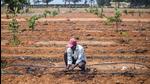 Haryana chief minister expressed concern over the groundwater level going down to 80 feet in districts such as Kurukshetra, Karnal, Kaithal and Panipat. (Bloomberg) Haryana chief minister expressed concern over the groundwater level going down to 80 feet in districts such as Kurukshetra, Karnal, Kaithal and Panipat. (Bloomberg)