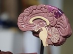 Covid-19 linked with Alzheimer's disease-like cognitive impairment: Study(Unsplash) Covid-19 linked with Alzheimer's disease-like cognitive impairment: Study(Unsplash)