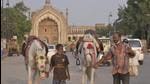 Several horsemen are now trying to earn a living by offering horse rides to tourists visiting the old city after their traditional businesses were ruined by the coronavirus. HT Photo Several horsemen are now trying to earn a living by offering horse rides to tourists visiting the old city after their traditional businesses were ruined by the coronavirus. HT Photo