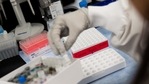 Experts who reviewed the study and spoke to HT said the findings were promising.(AFP) Experts who reviewed the study and spoke to HT said the findings were promising.(AFP)