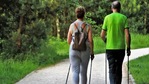 In ageing humans, aerobic exercise training increases grey and white matter volume enhances blood flow and improves memory function.(File image) In ageing humans, aerobic exercise training increases grey and white matter volume enhances blood flow and improves memory function.(File image)