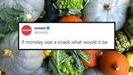 Zomato asked how tweeple thought Monday as a snack would look like.(Twitter/@zomato) Zomato asked how tweeple thought Monday as a snack would look like.(Twitter/@zomato)