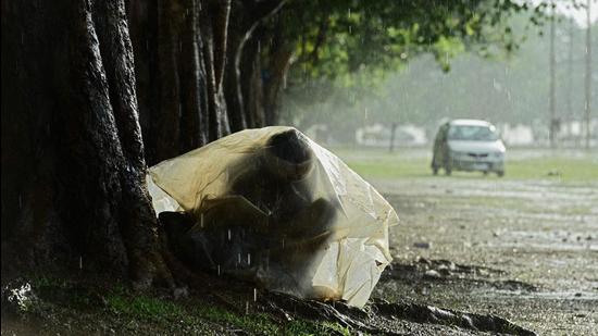 A man shelters under a tree with a plastic sheet during a heavy rain. (AFP) A man shelters under a tree with a plastic sheet during a heavy rain. (AFP)