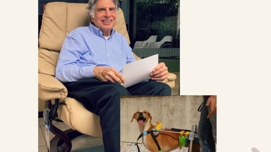 Ratan Tata shared the successful story of adoption on his Instagram.(Instagram/@ratantata)